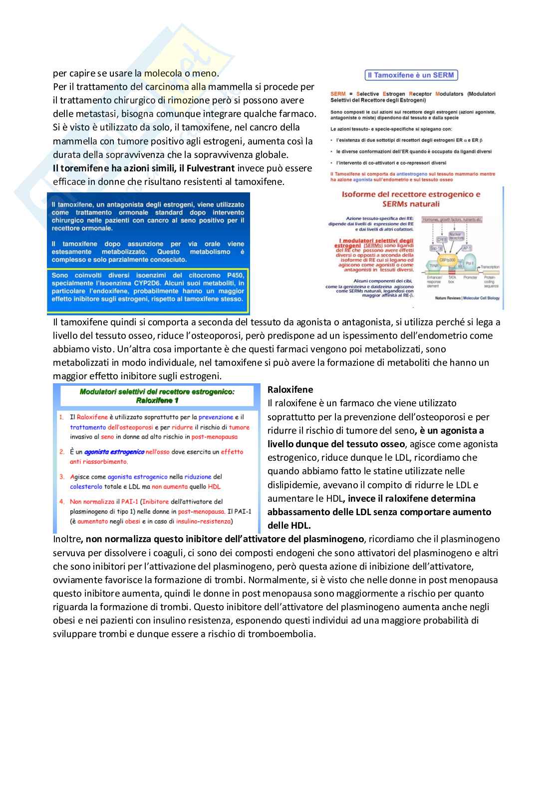 Farmacoterapia 2 - estrogeni e apparato oculare Pag. 16