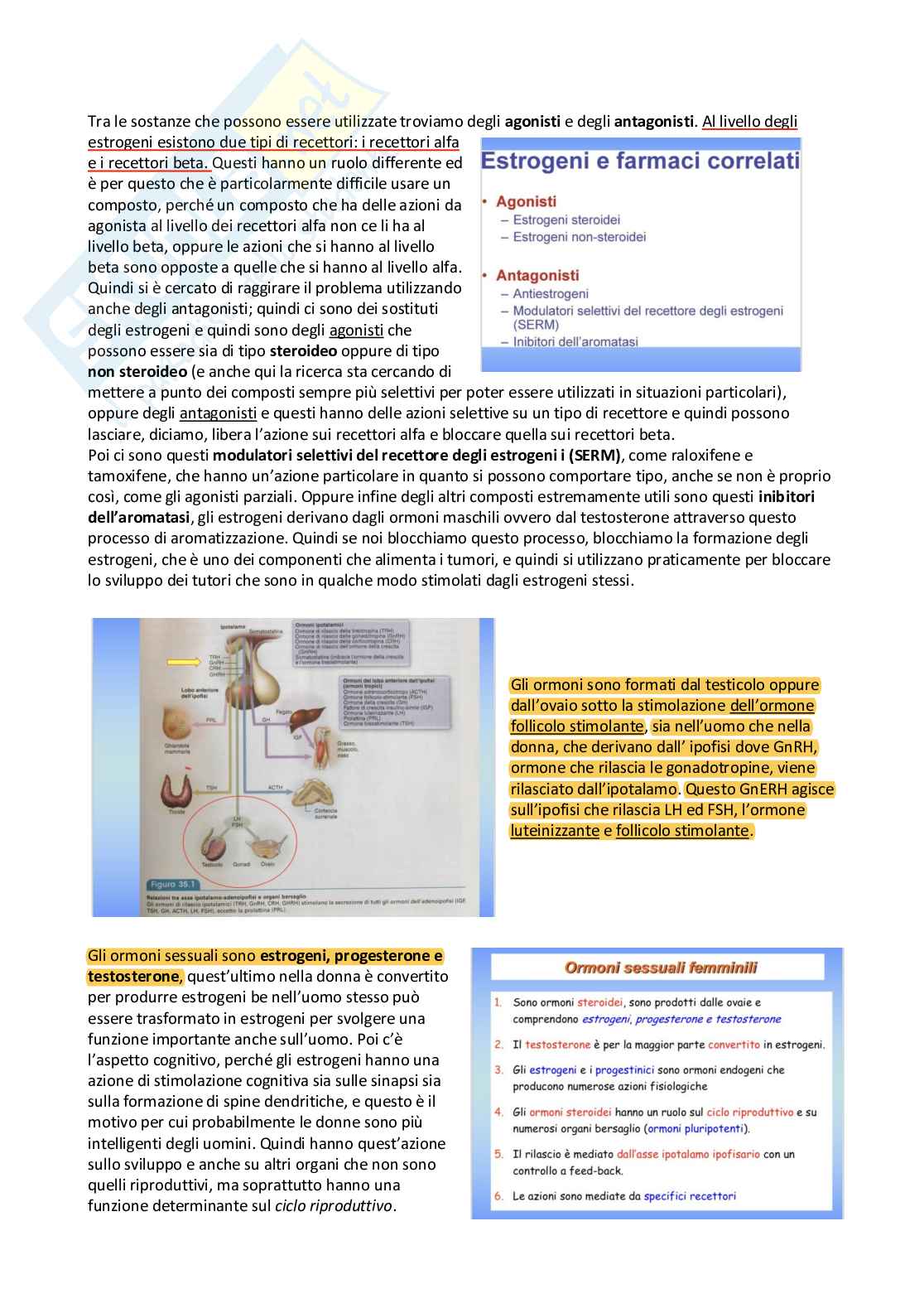 Farmacoterapia 2 - estrogeni e apparato oculare Pag. 2