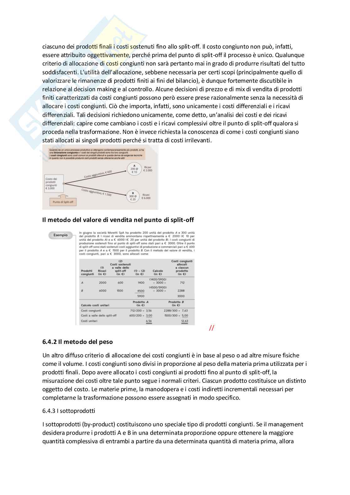 Programmazione e controllo - Appunti Pag. 51