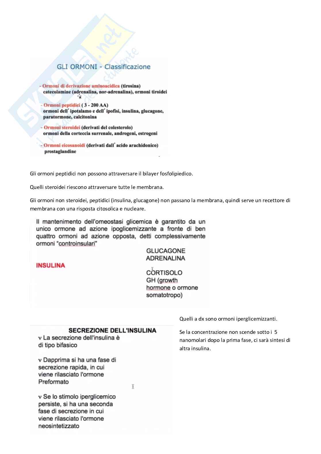 Regolazione ormonale del metabolismo energetico e omeostasi glucidica Pag. 1