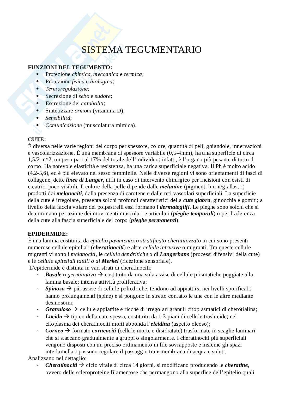 Anatomia umana  Pag. 1