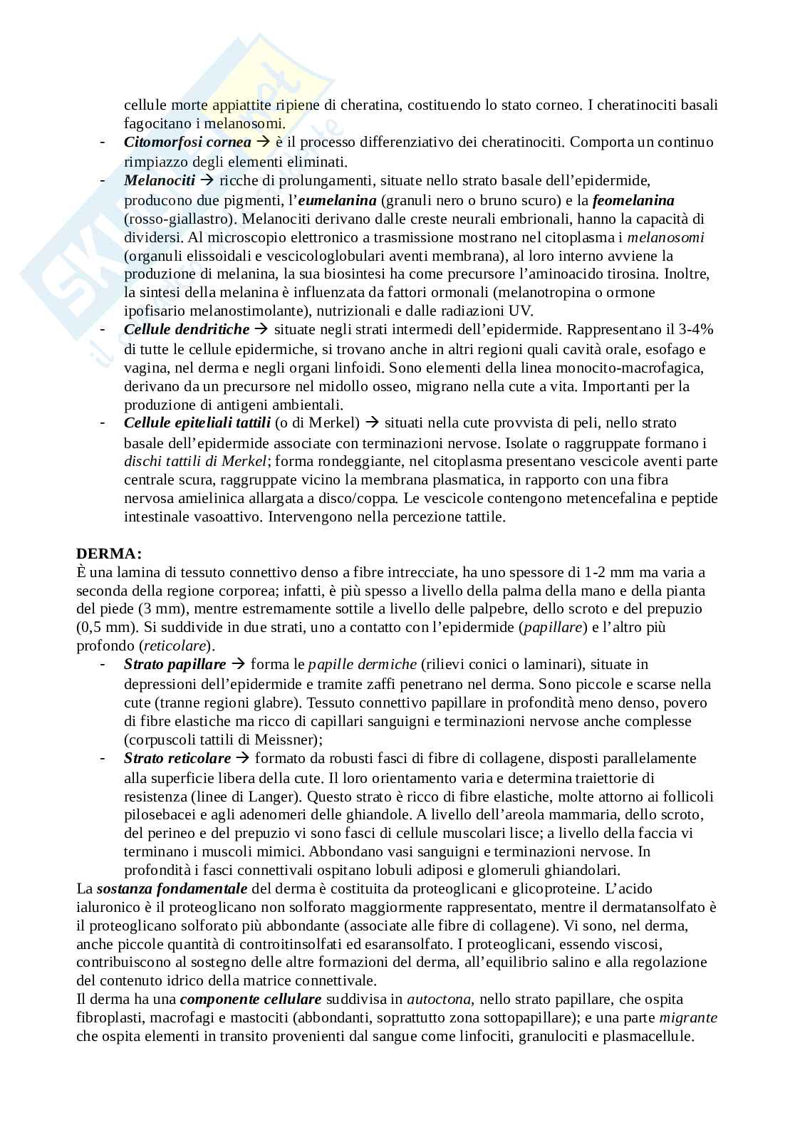Anatomia umana  Pag. 2
