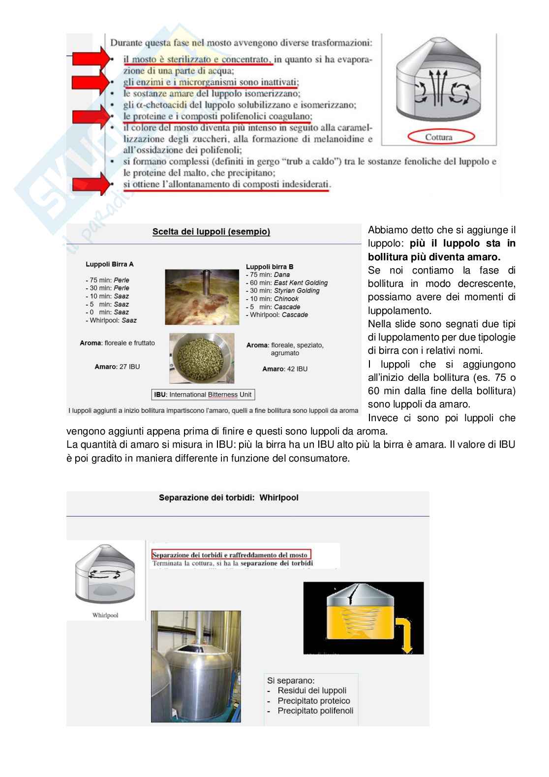 Appunti di Microbiologia Industriale Pag. 11