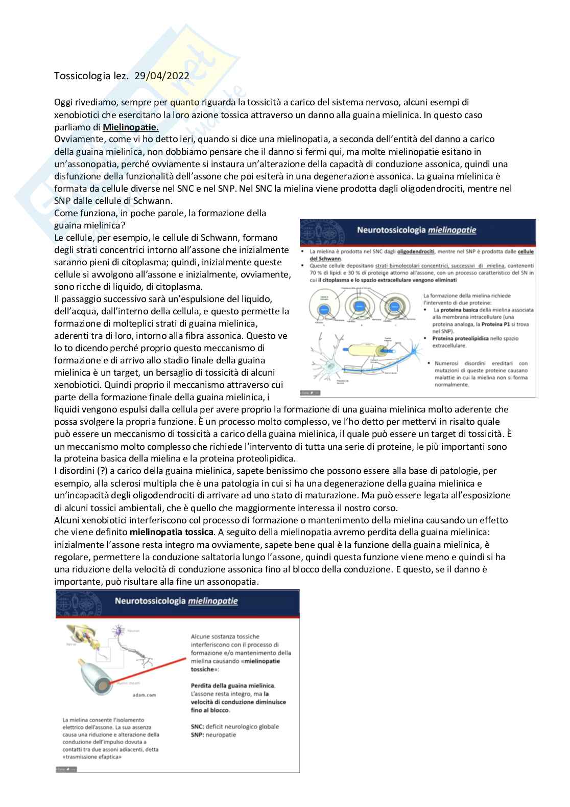 Tossicologia generale e del farmaco - parte 6 Pag. 1