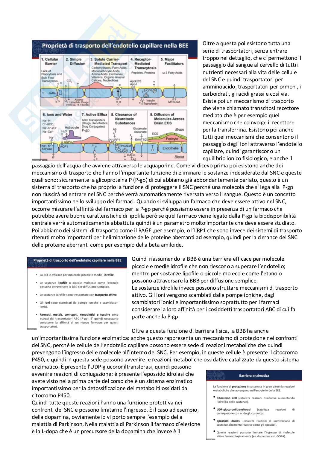 Tossicologia generale e del farmaco - parte 6 Pag. 16