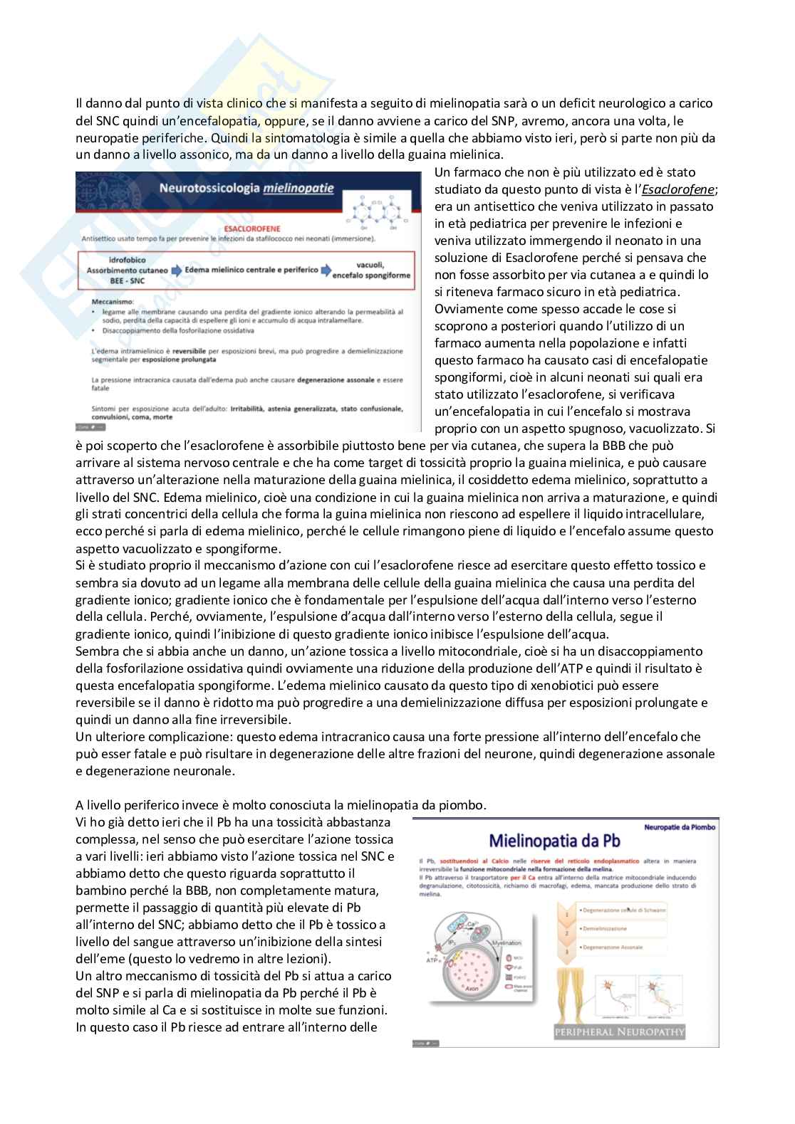 Tossicologia generale e del farmaco - parte 6 Pag. 2