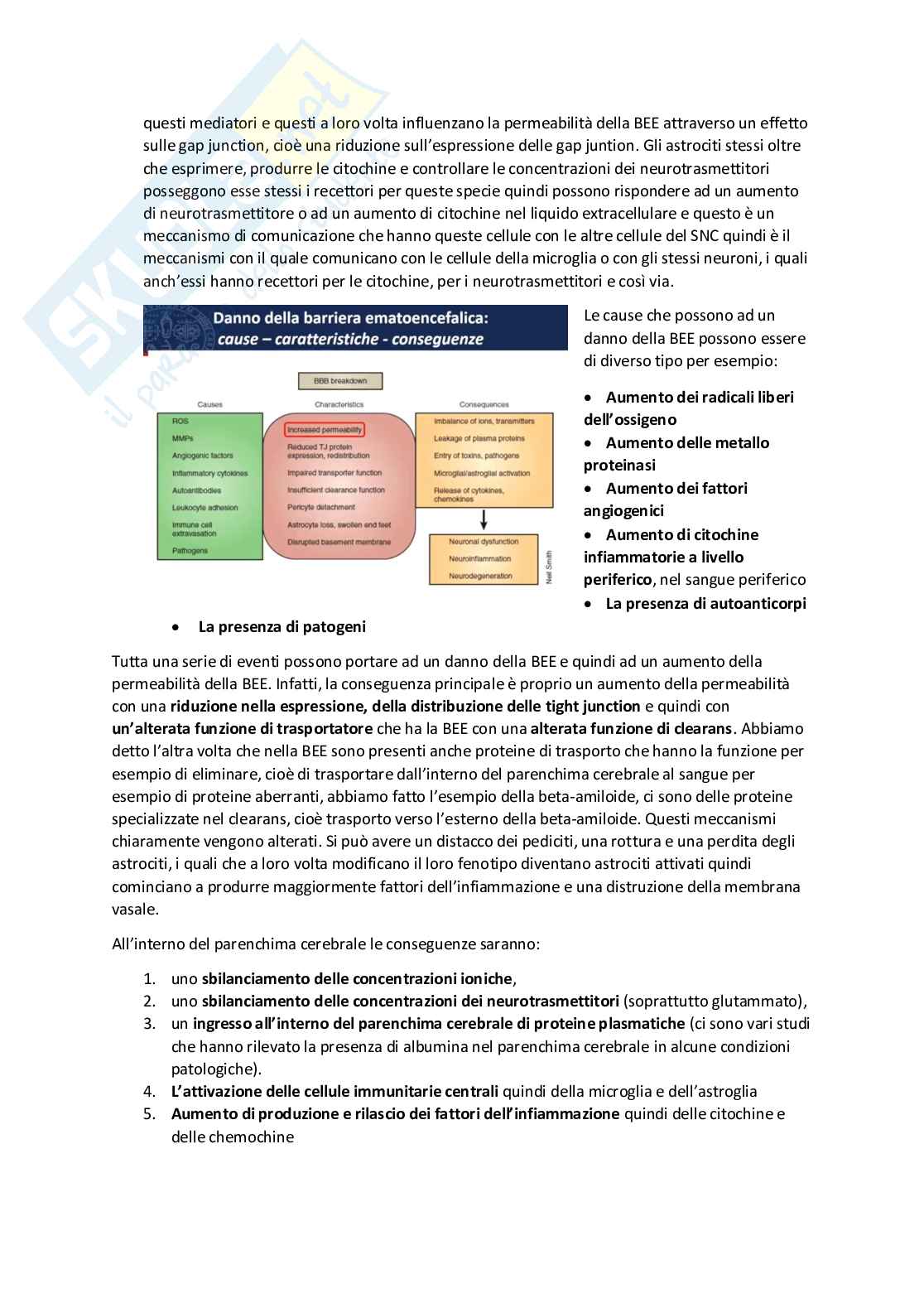 Tossicologia generale e del farmaco - parte 6 Pag. 21