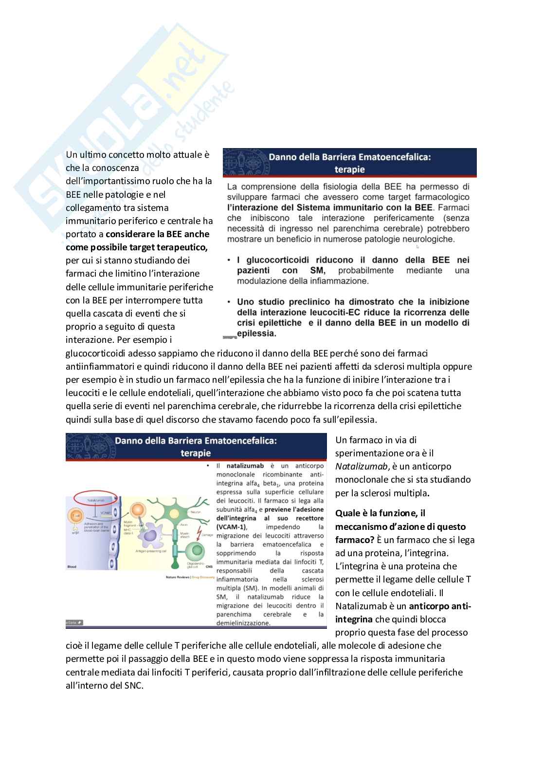 Tossicologia generale e del farmaco - parte 6 Pag. 31