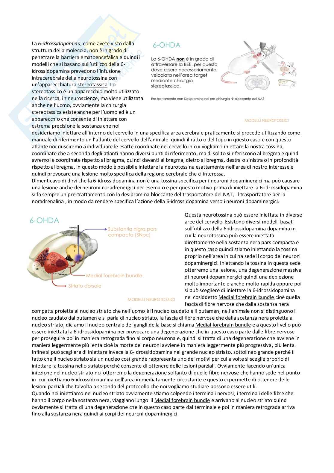 Tossicologia generale e del farmaco - parte 6 Pag. 41