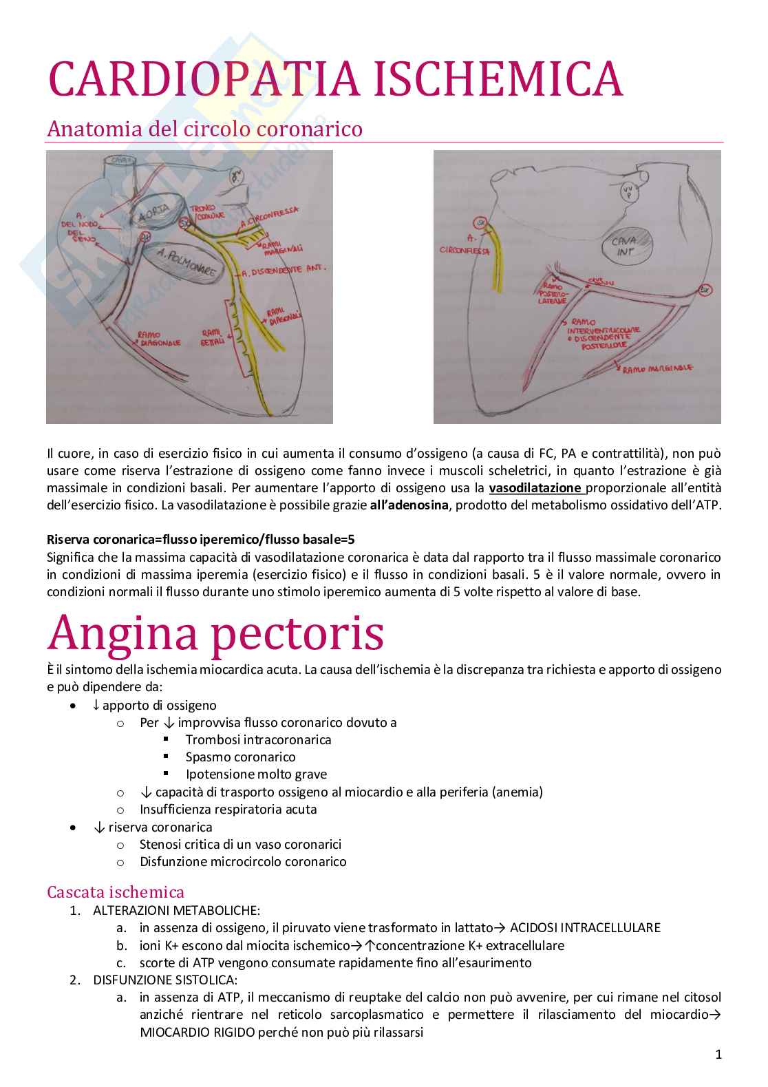 Cardiopatia ischemica Pag. 1