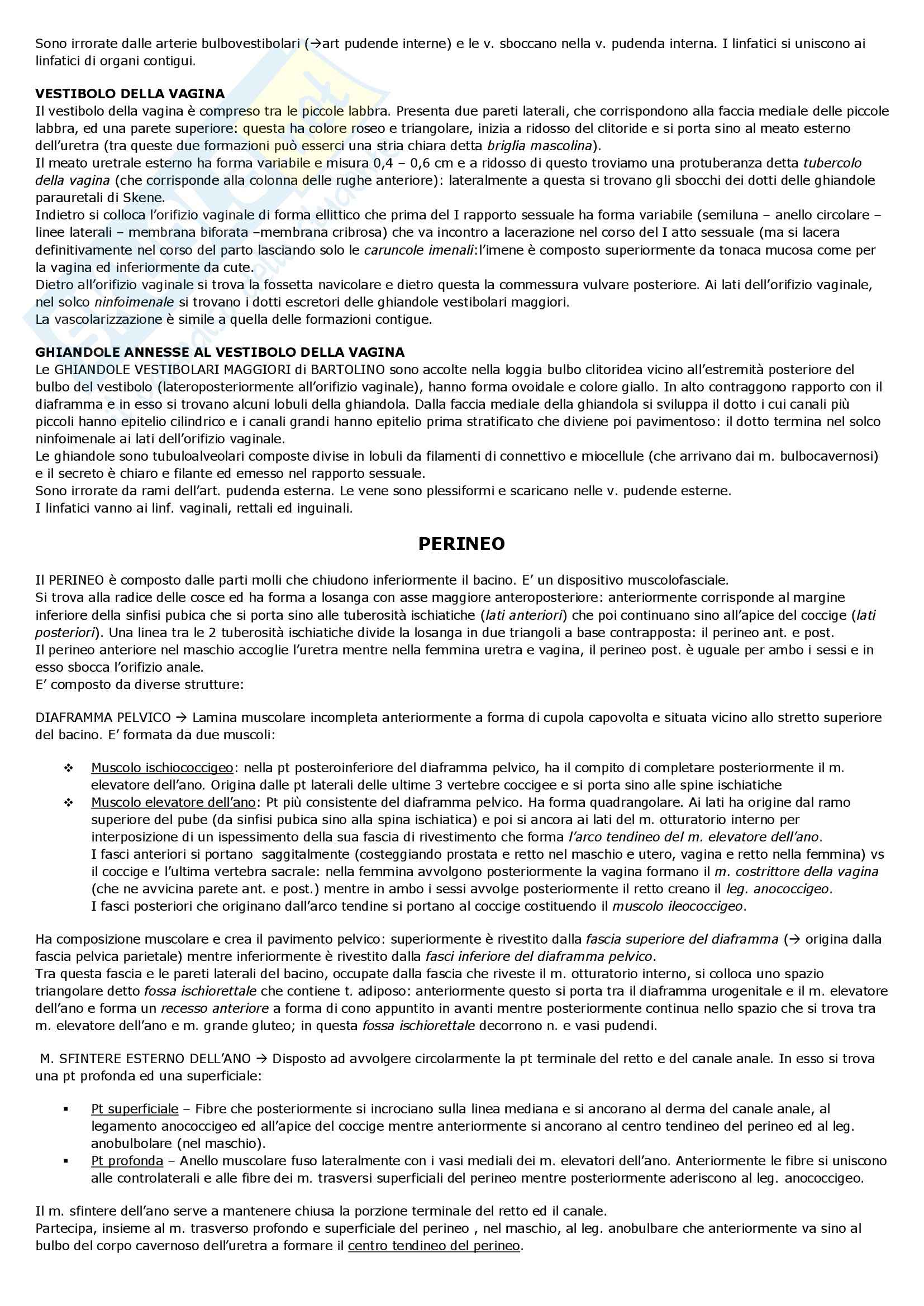 Riassunto esame Anatomia umana, prof. Onori, libro consigliato Anastasi Pag. 111