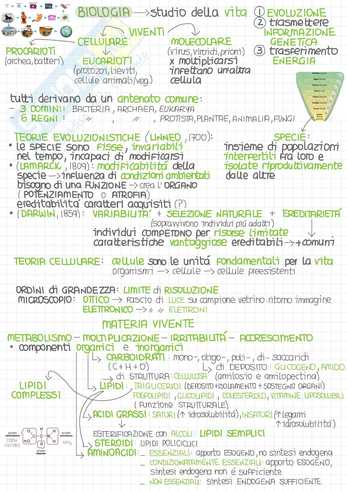 Biologia - Parte 1/4 Pag. 1