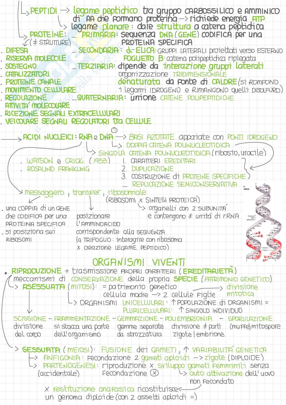 Biologia - Parte 1/4 Pag. 2