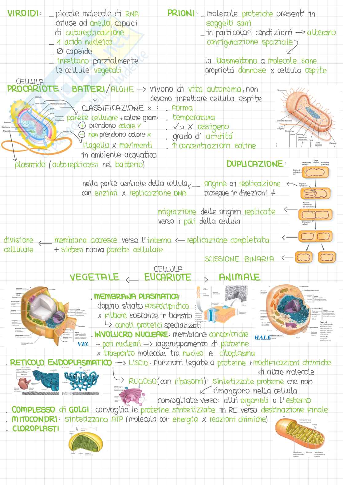 Biologia - Parte 1/4 Pag. 6