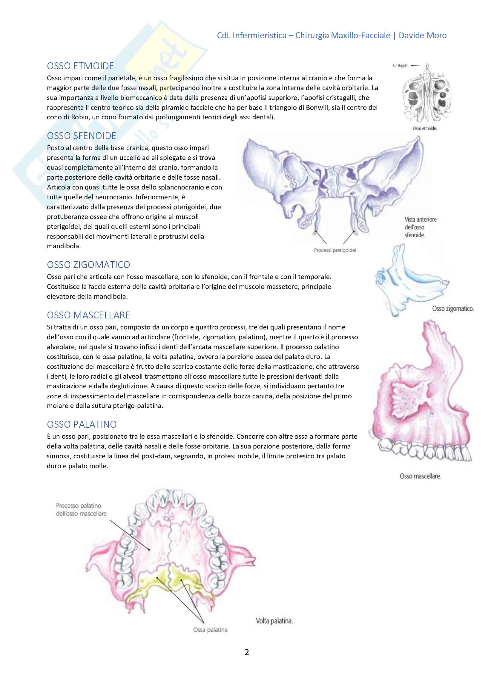 Chirurgia maxillo facciale Pag. 6