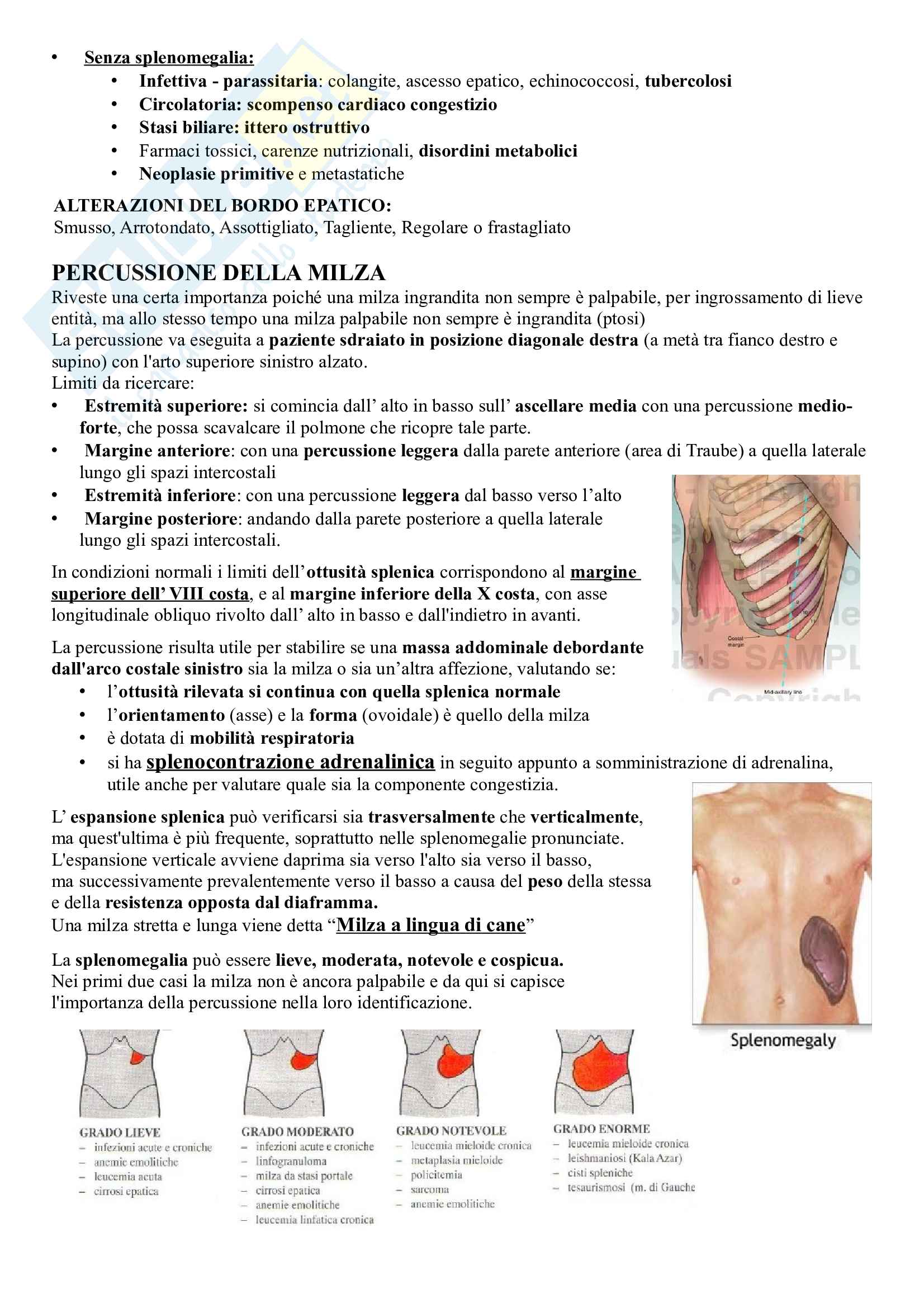 Gastroenterologia Pag. 31