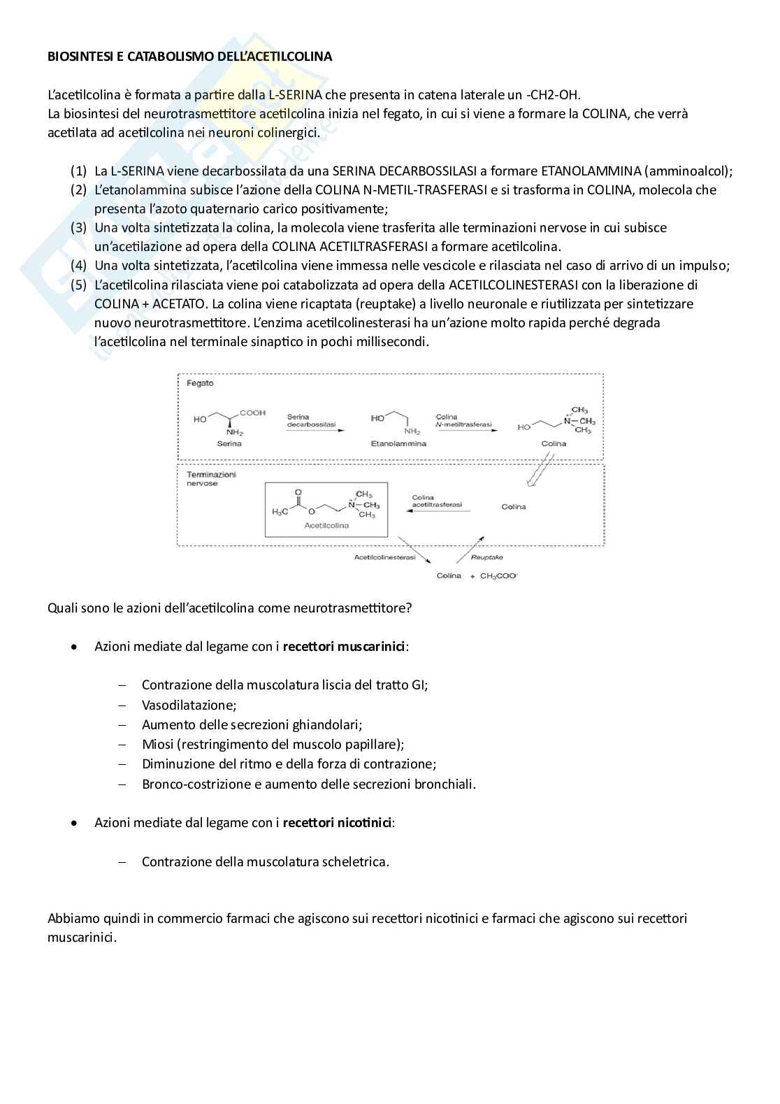 Chimica farmaceutica I Pag. 61
