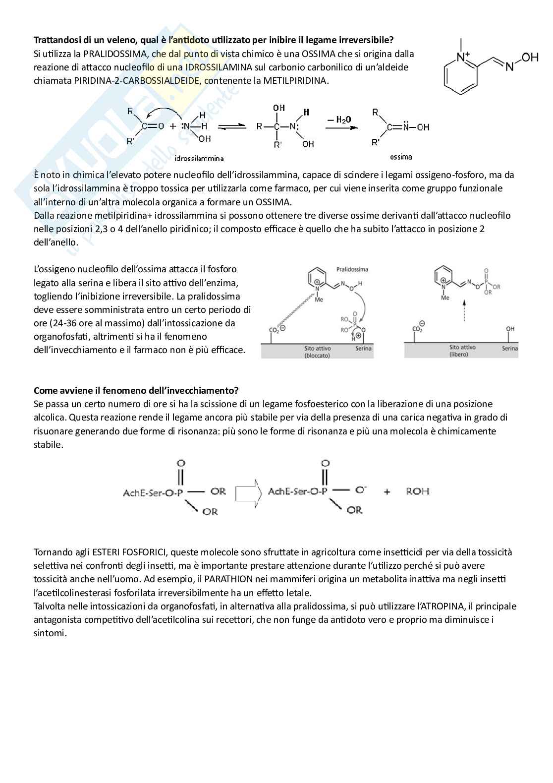 Chimica farmaceutica I Pag. 66