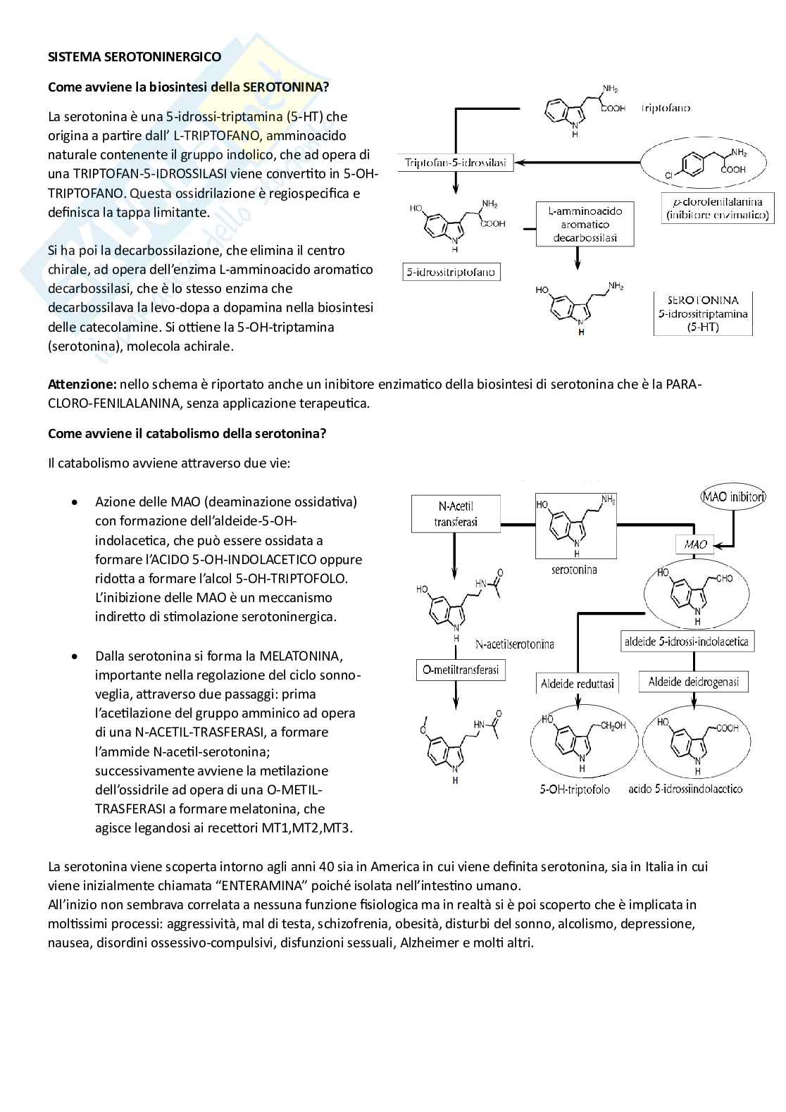Chimica farmaceutica I Pag. 76