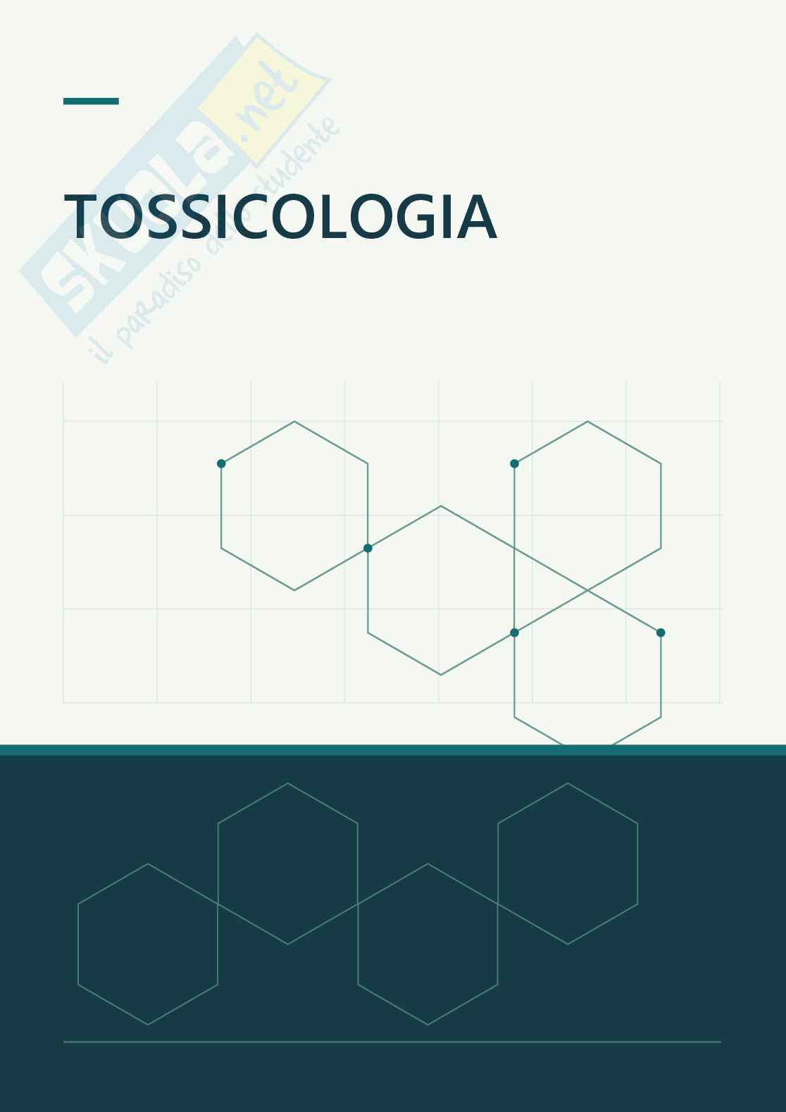 Tossicologia - Appunti completi, 2025/2026 Pag. 1