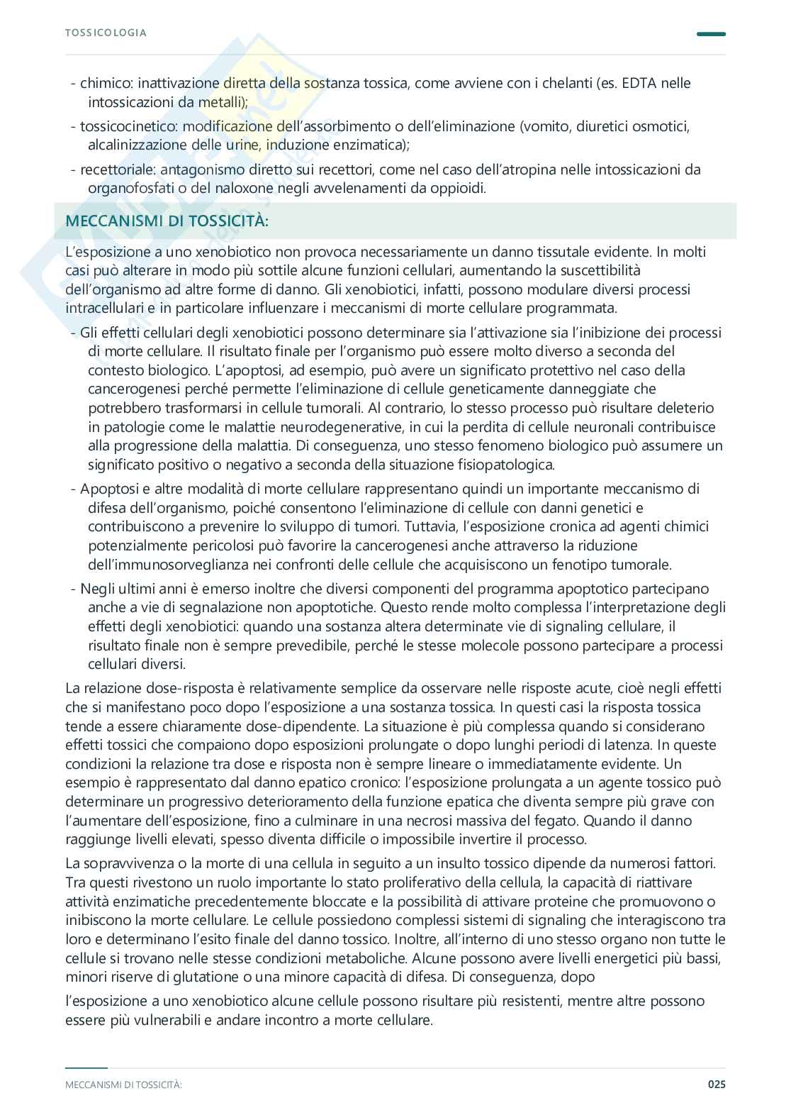 Tossicologia - Appunti completi, 2025/2026 Pag. 26