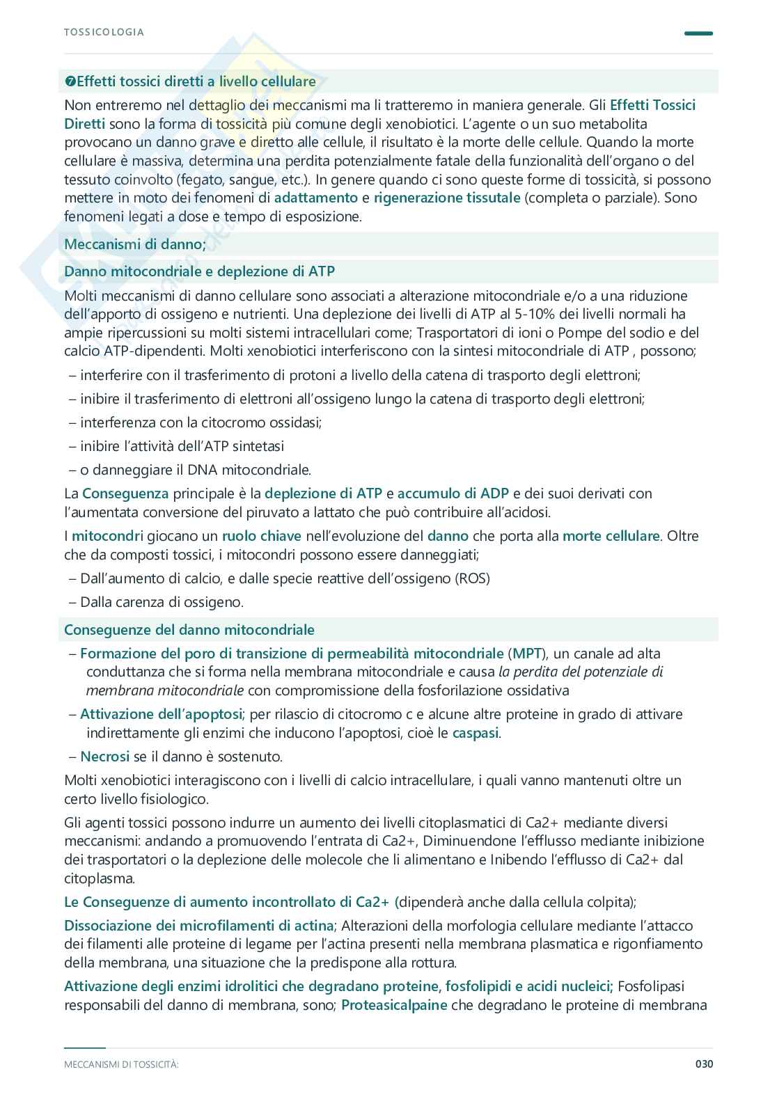 Tossicologia - Appunti completi, 2025/2026 Pag. 31