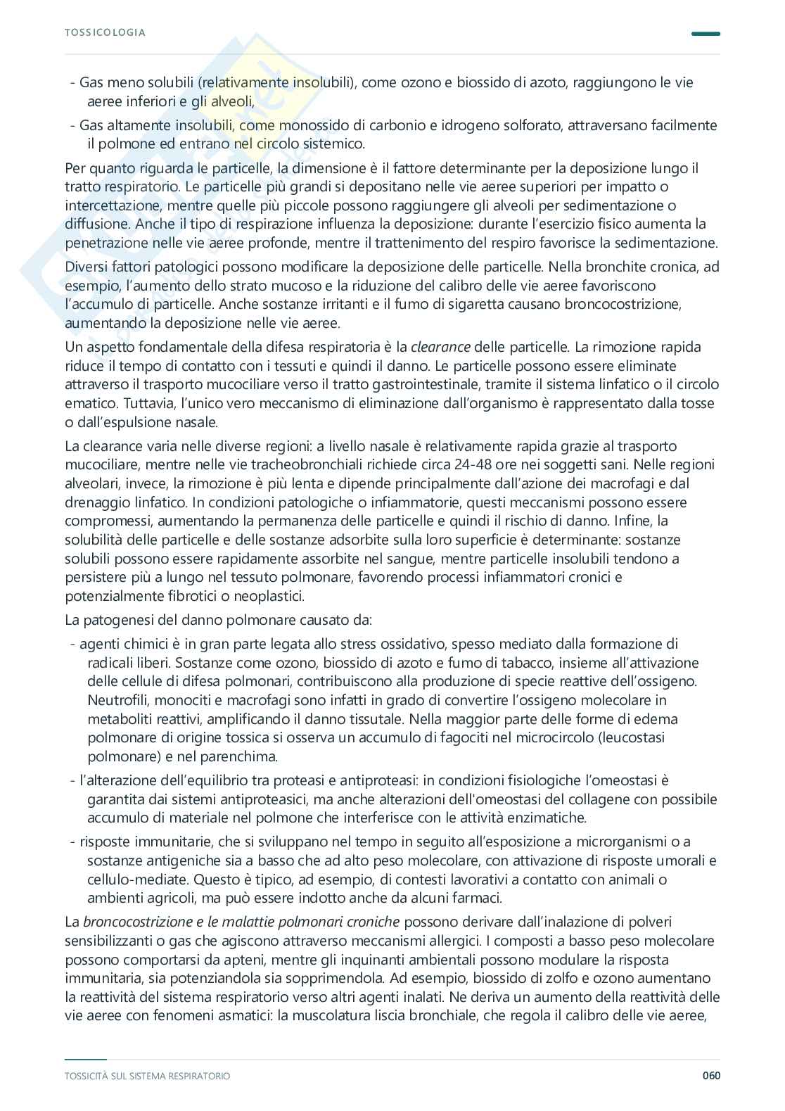 Tossicologia - Appunti completi, 2025/2026 Pag. 61