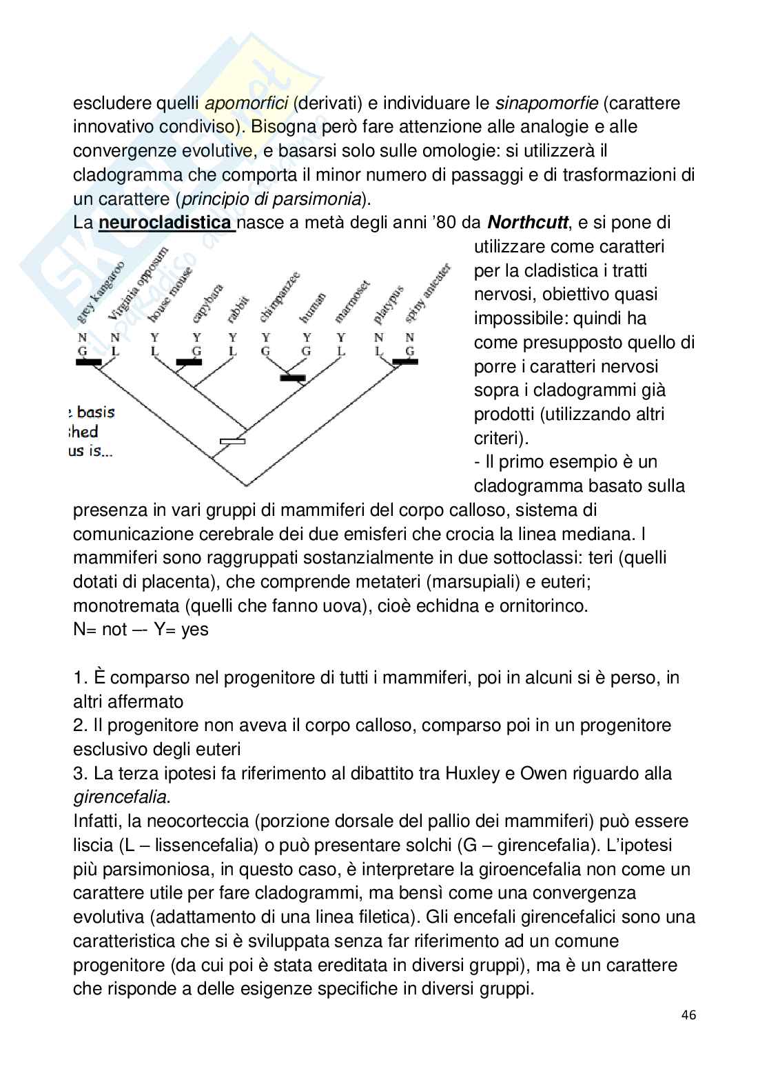 Appunti esame Neurobiologia Comparata Pag. 46