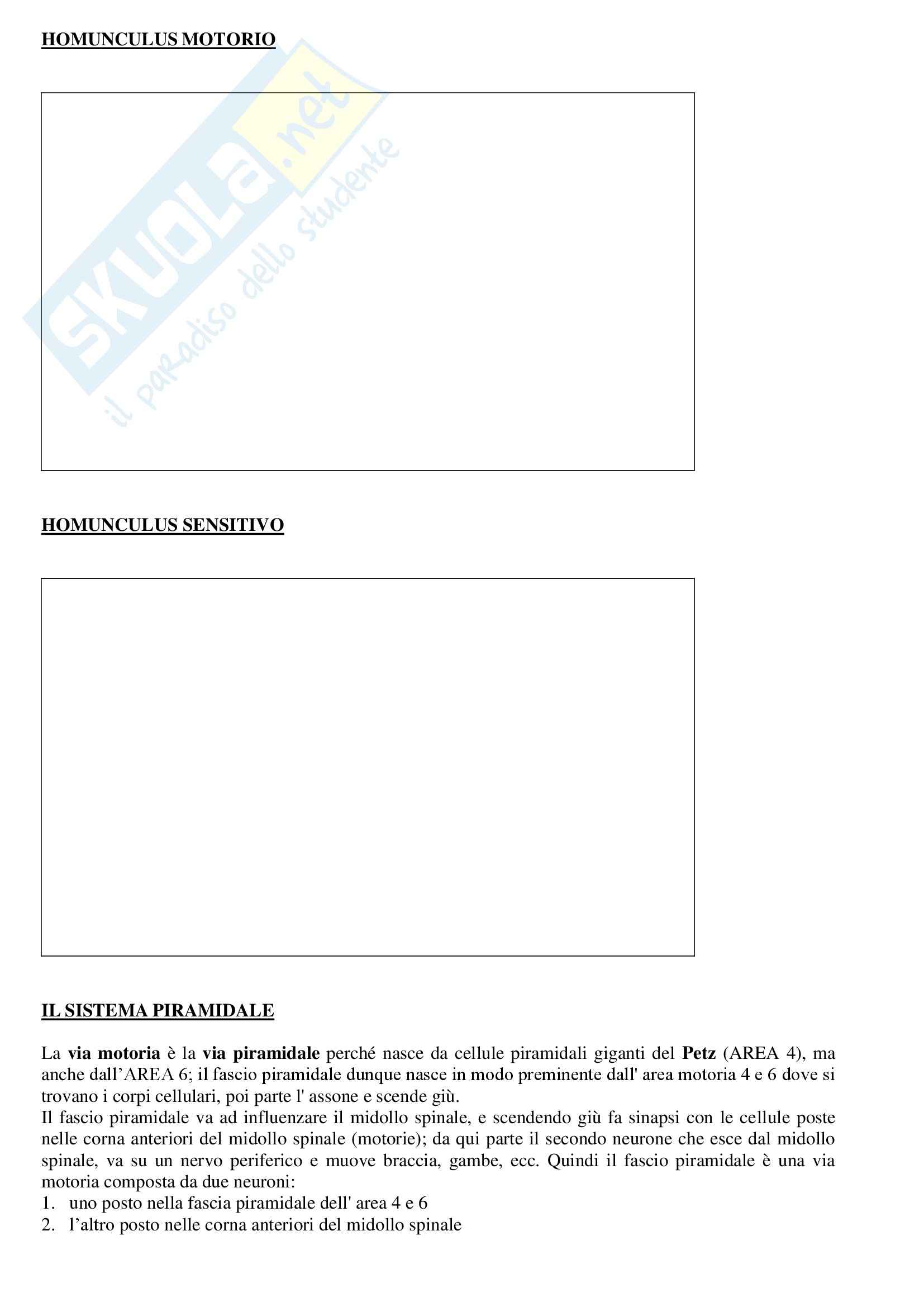 Neurologia - Appunti Pag. 11