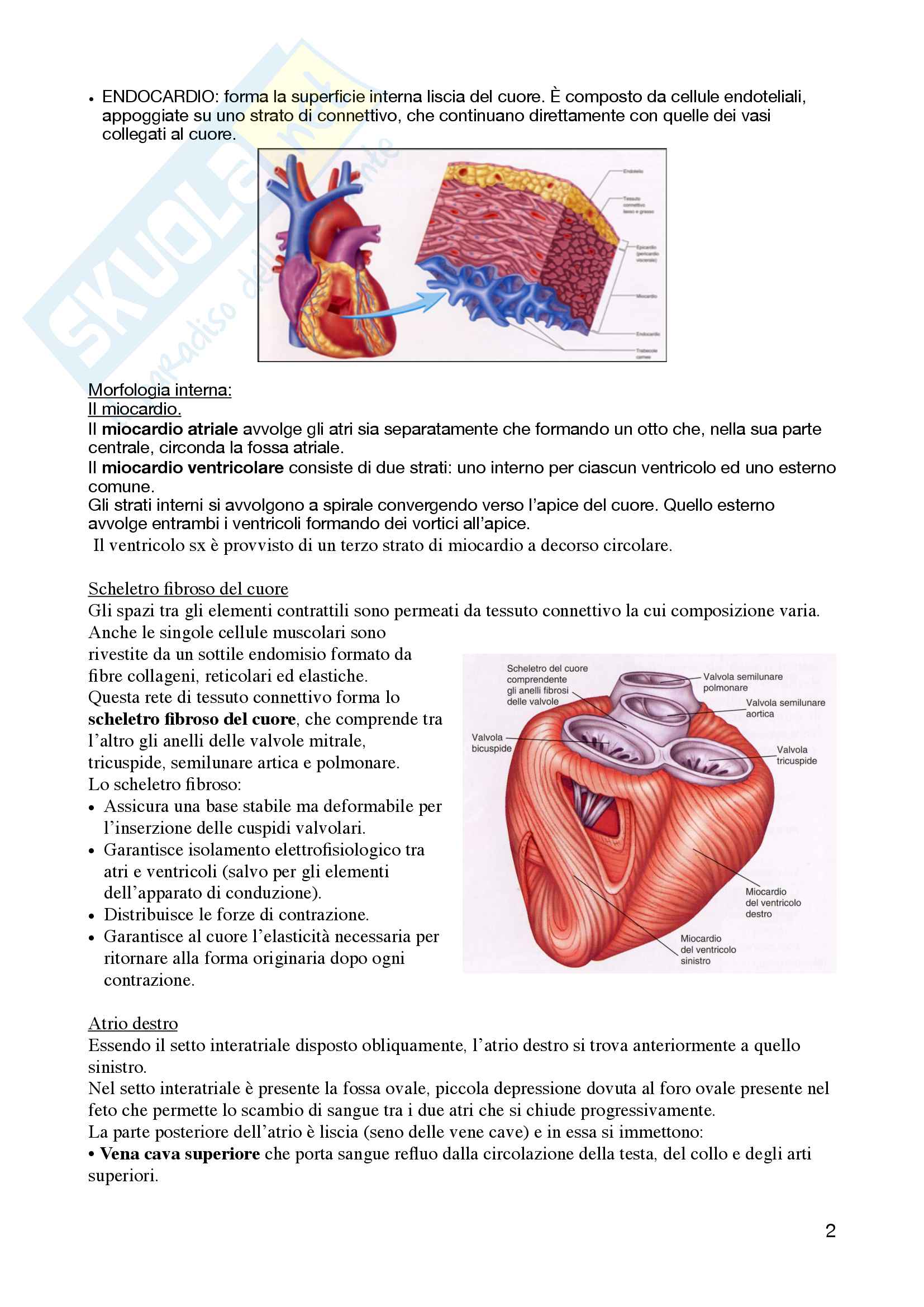 11. Cardiopatie Pag. 2
