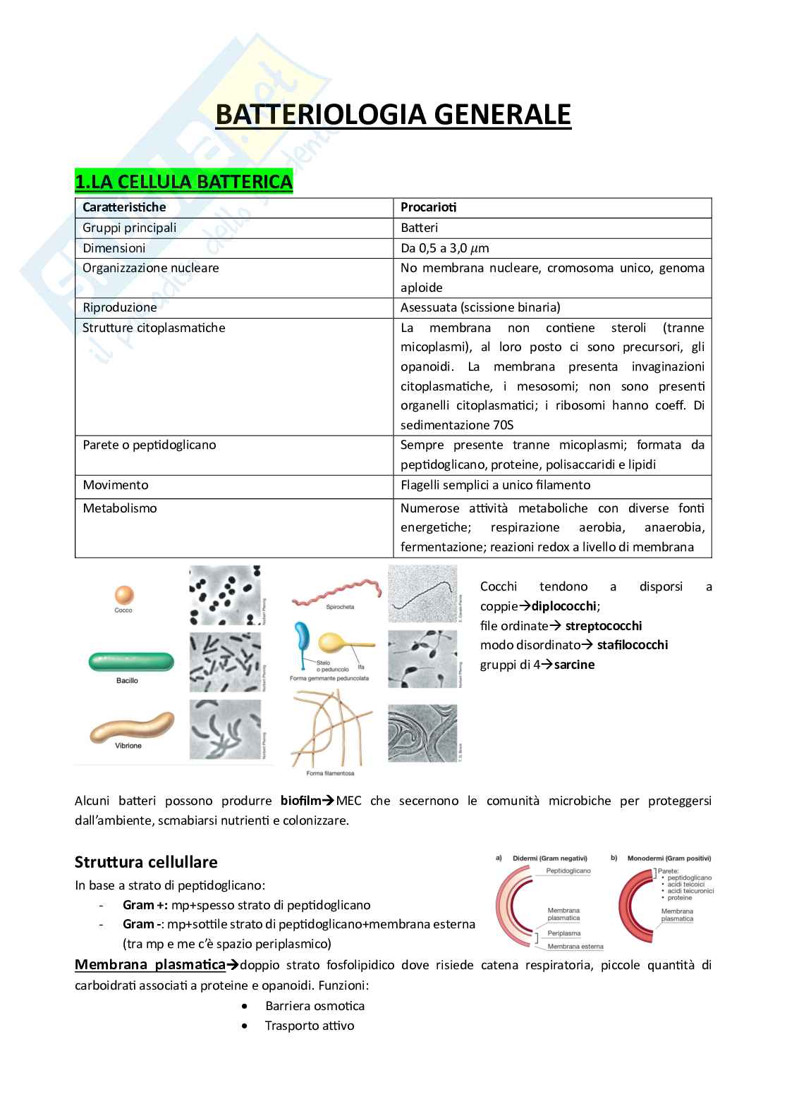 Batteriologia generale - Generalità sulla cellula batterica Pag. 1
