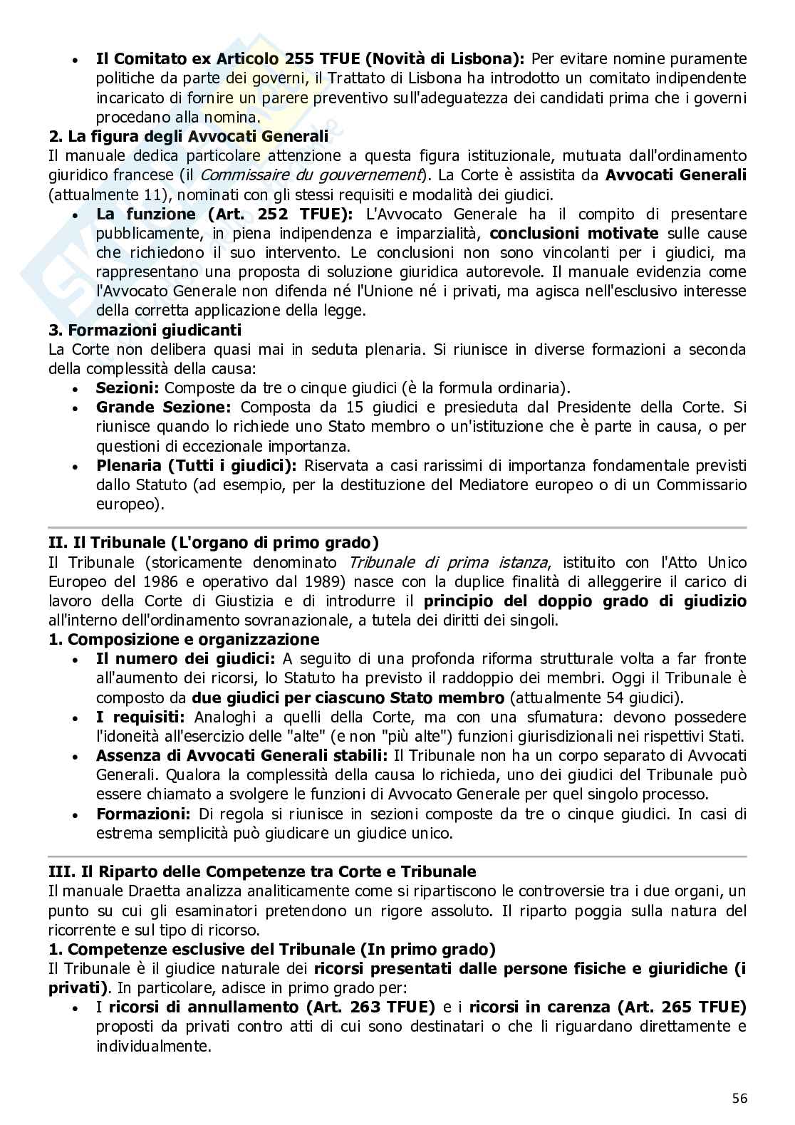 Diritto dell'Unione Europea Pag. 56