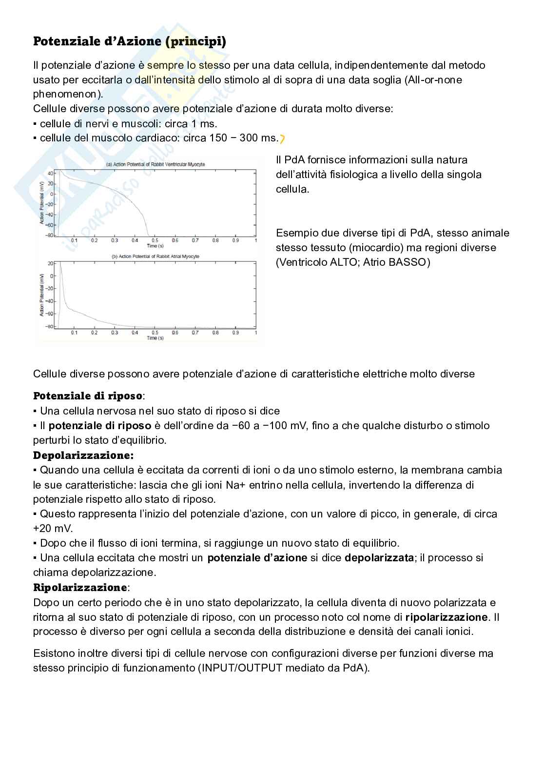Appunti Elaborazione di segnali biomedici Pag. 2
