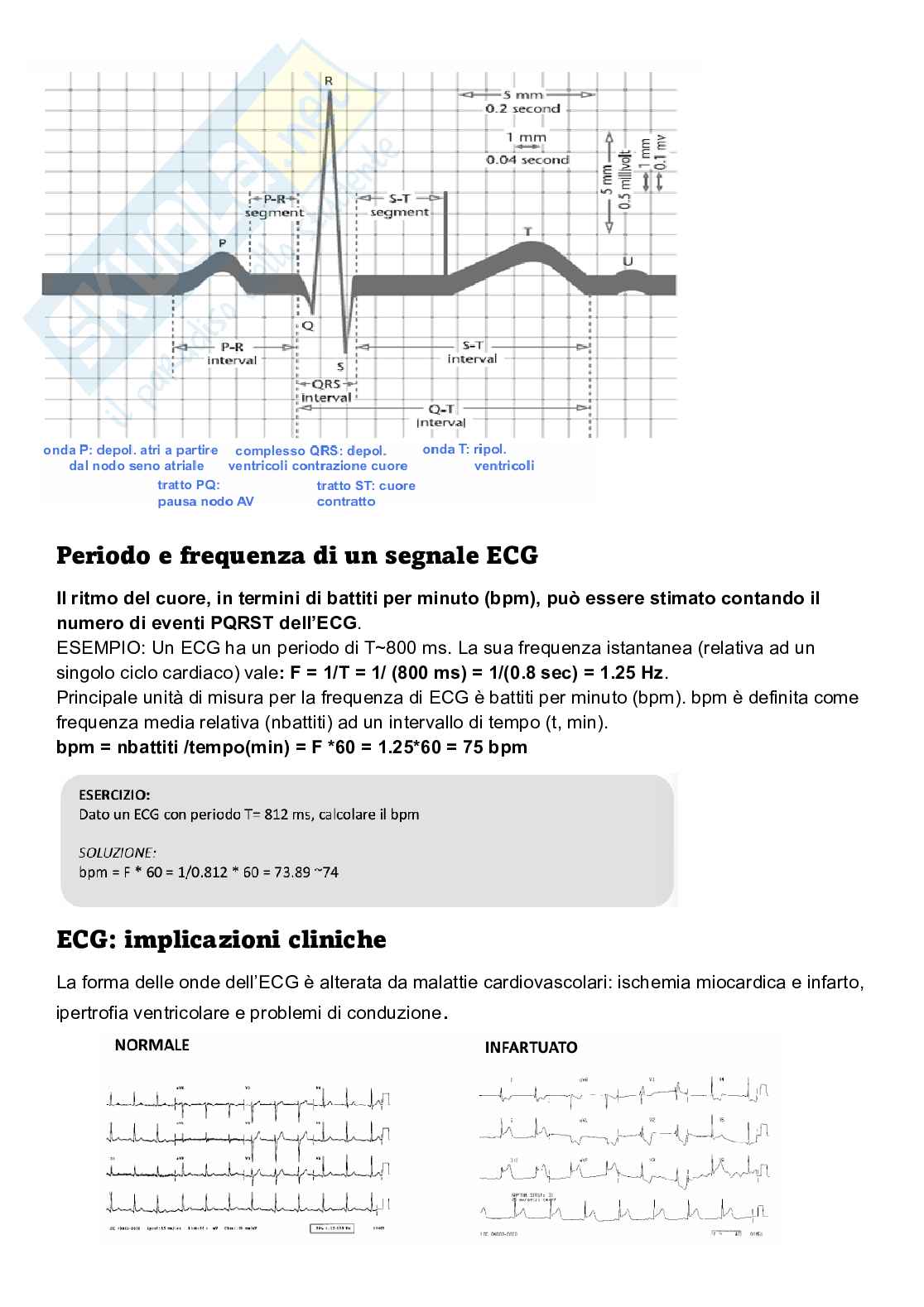 Appunti Elaborazione di segnali biomedici Pag. 6