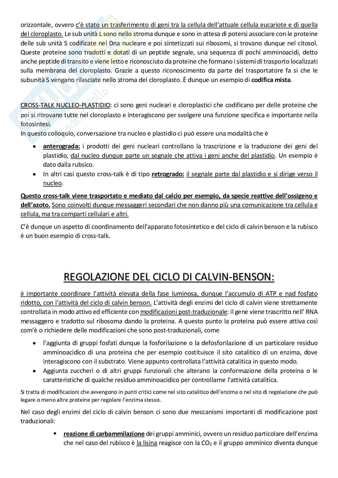 Biologia vegetale - appunti Pag. 46
