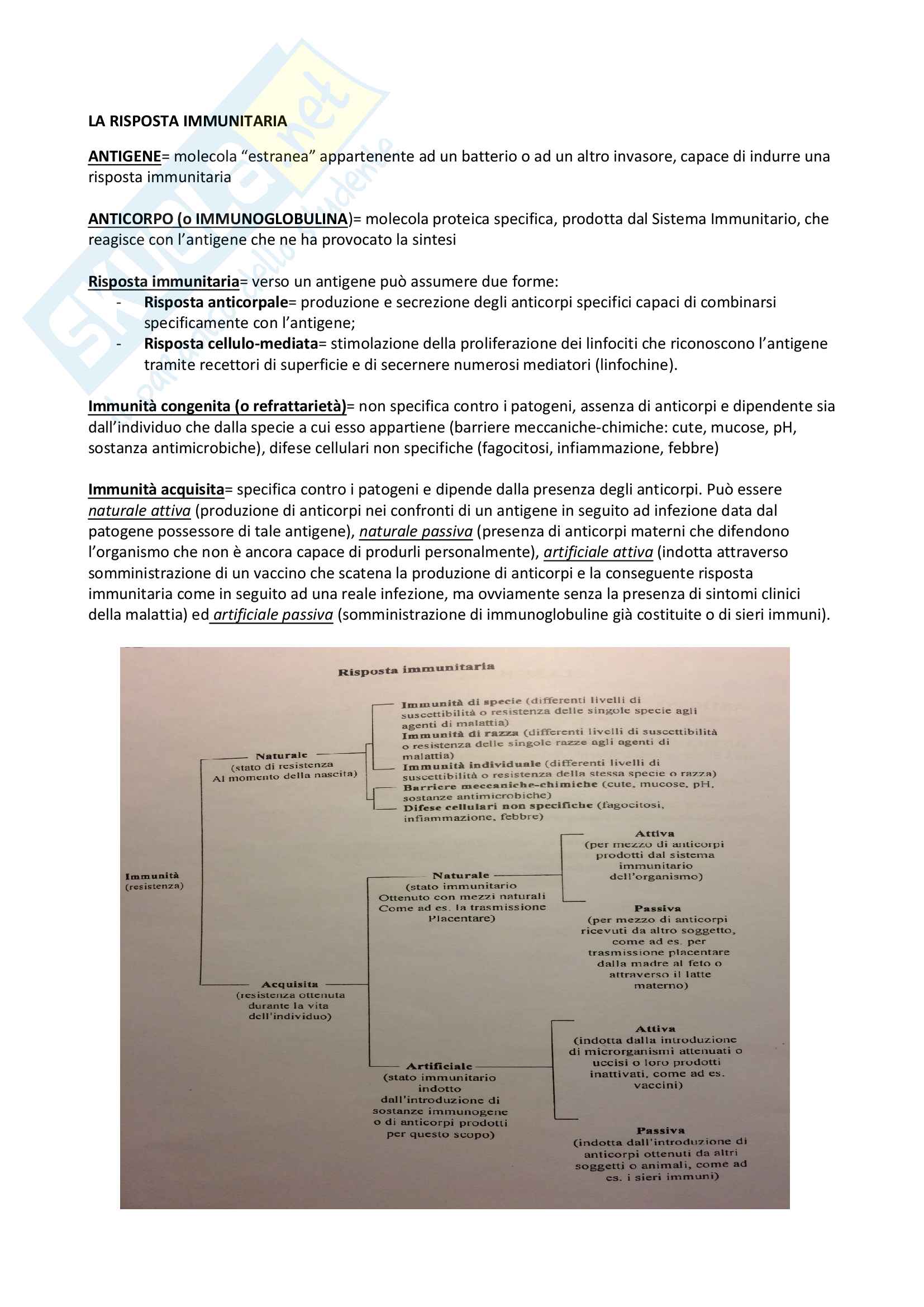 Igiene - studio su come conservare la salute e prevenire le malattie Pag. 26
