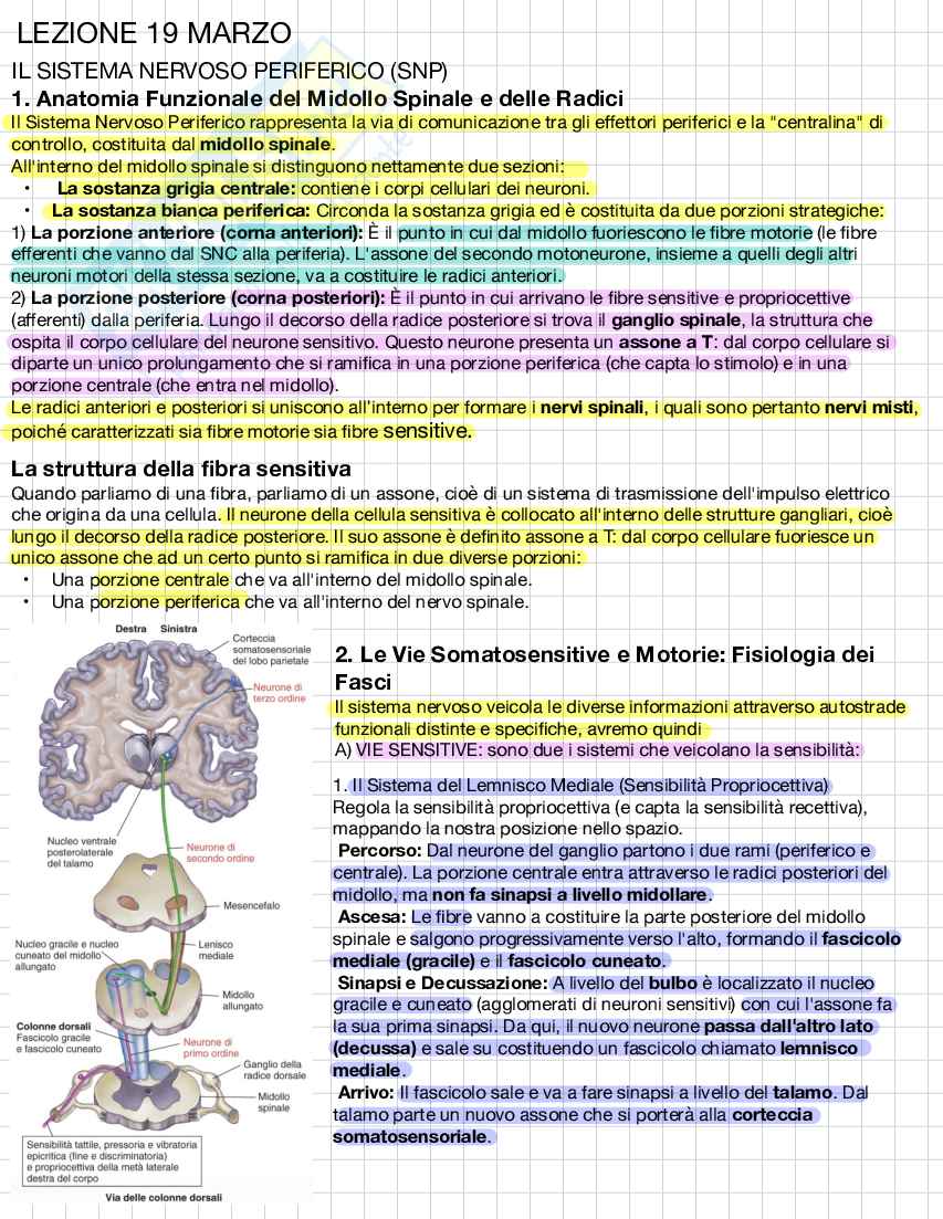 Fondamenti di Neurologia  Pag. 1