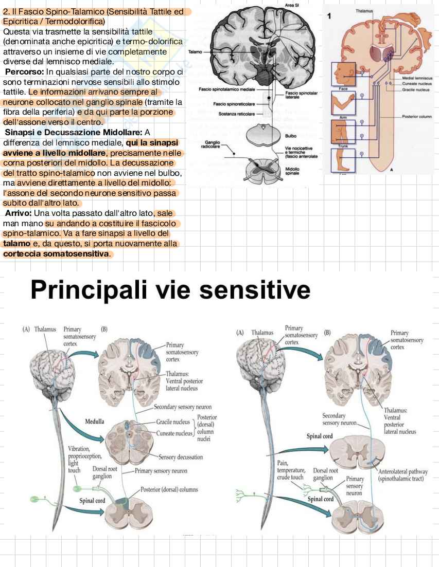 Fondamenti di Neurologia  Pag. 2