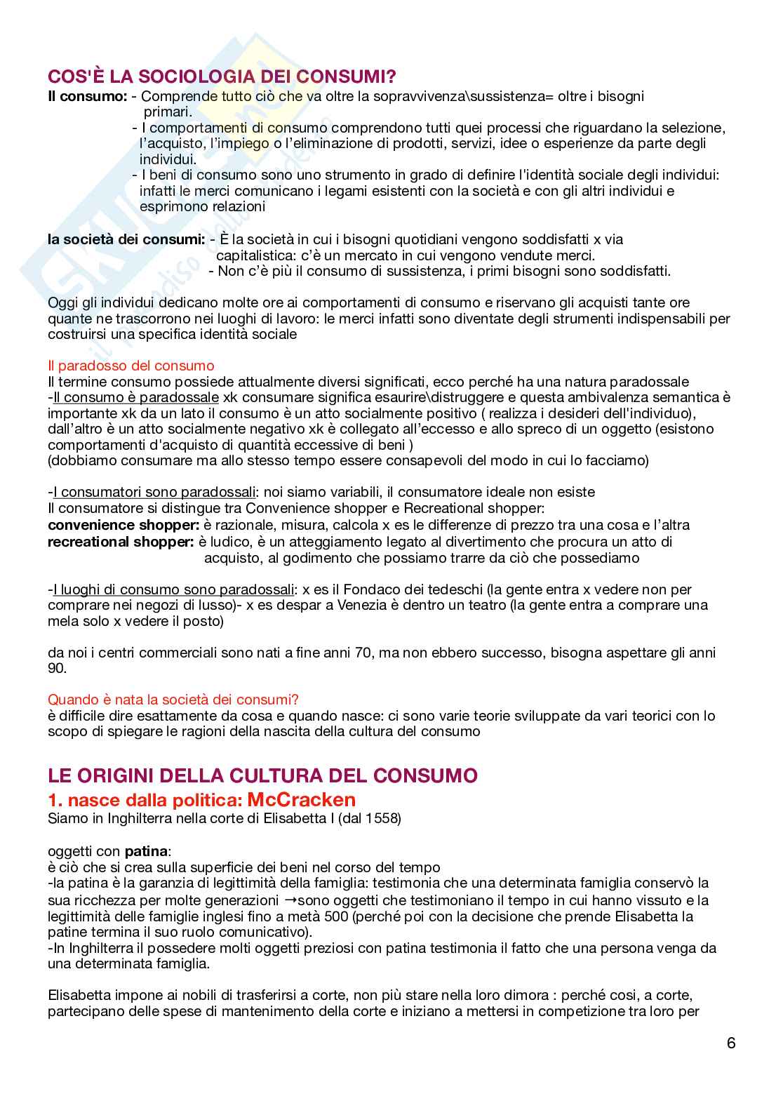 Appunti per l'esame di Sociologia dei consumi e del marketing Pag. 6
