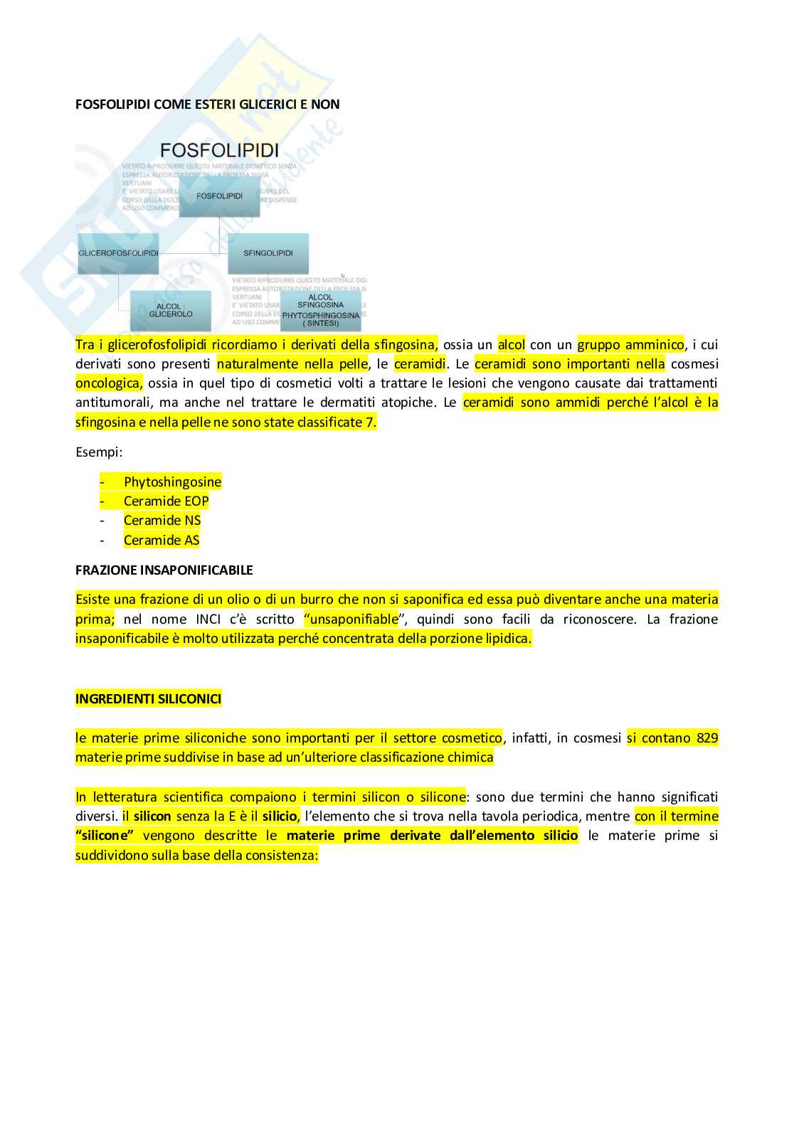 Appunti completi di Chimica cosmetica e cosmeceutica Pag. 21