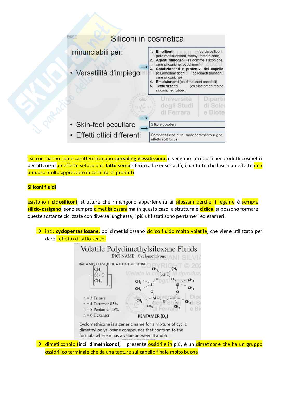 Appunti completi di Chimica cosmetica e cosmeceutica Pag. 26