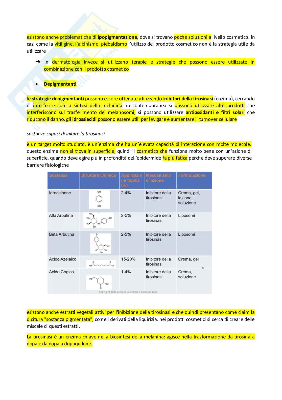 Appunti completi di Chimica cosmetica e cosmeceutica Pag. 51