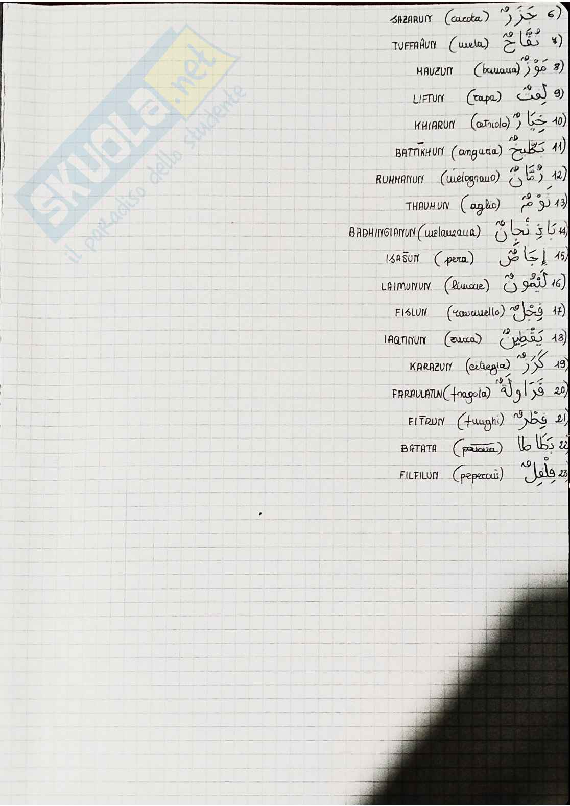 Appunti Arabo - seconda parte Pag. 6