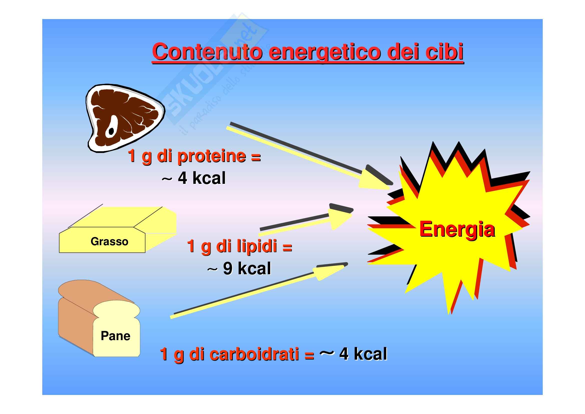 Biochimica II – Lezione 4 – Slides Pag. 16