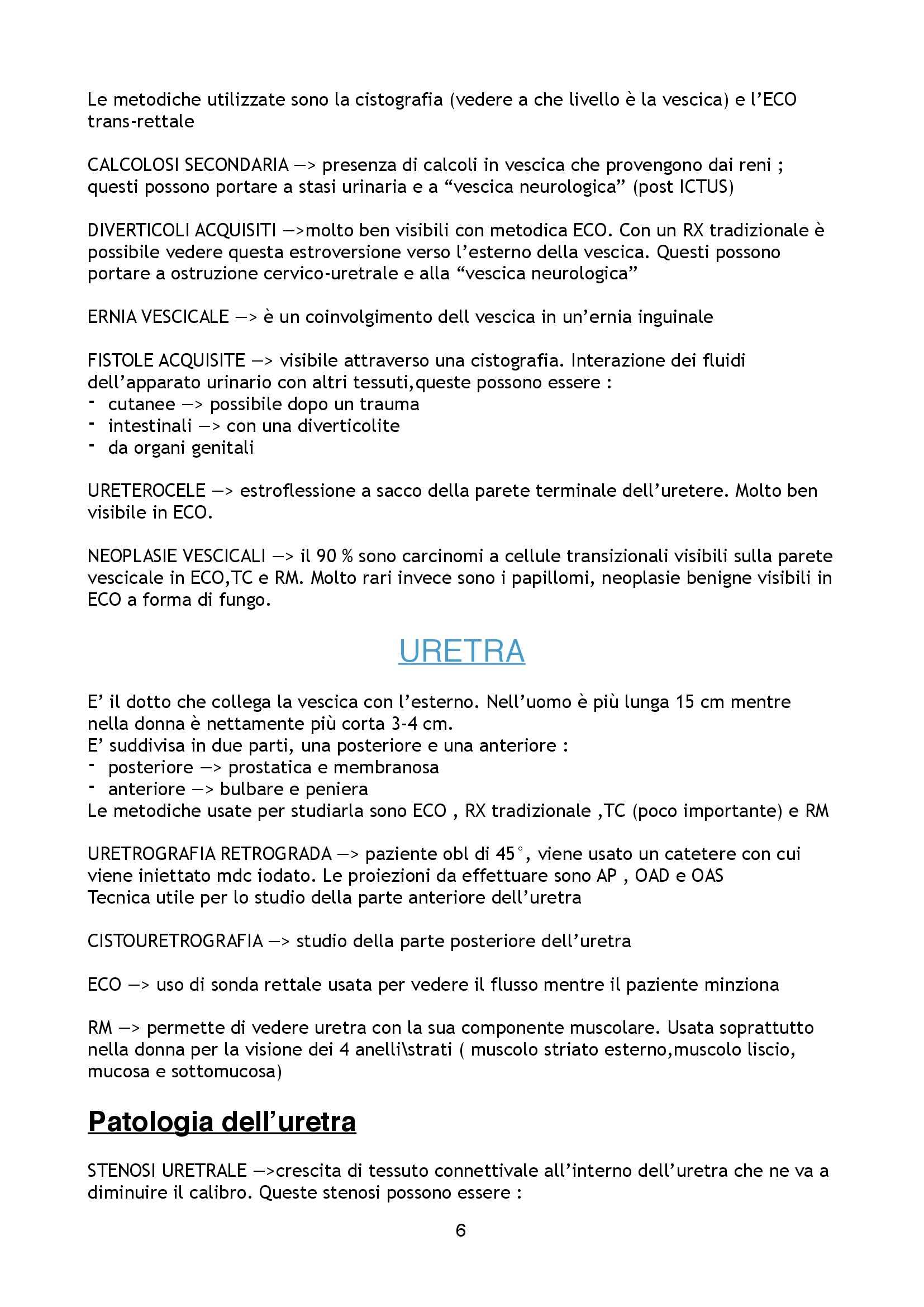 Patologia urologica - Riassunto esame generale, prof. Ciccariello Pag. 6
