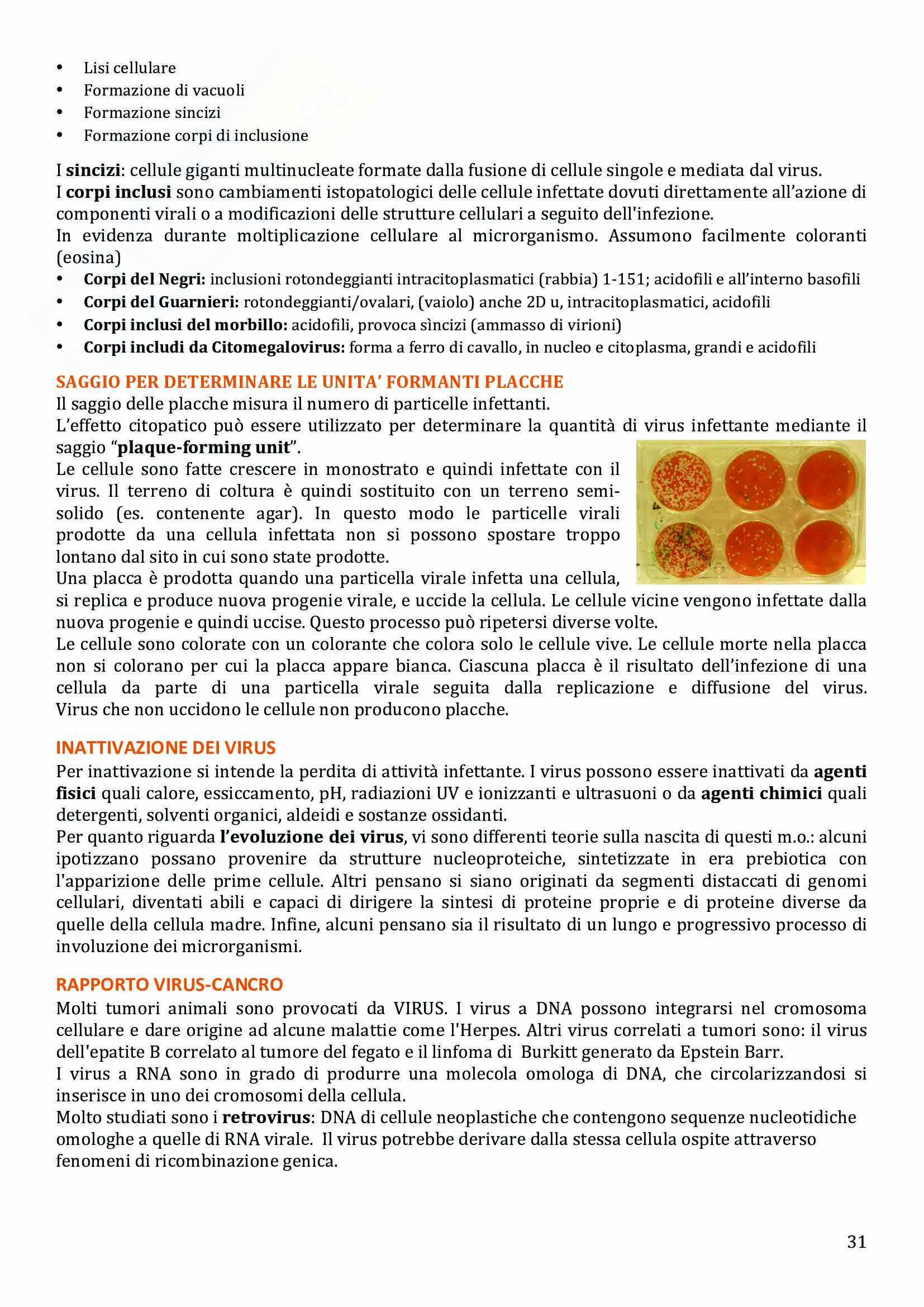 Microbiologia Farmaceutica Pag. 31