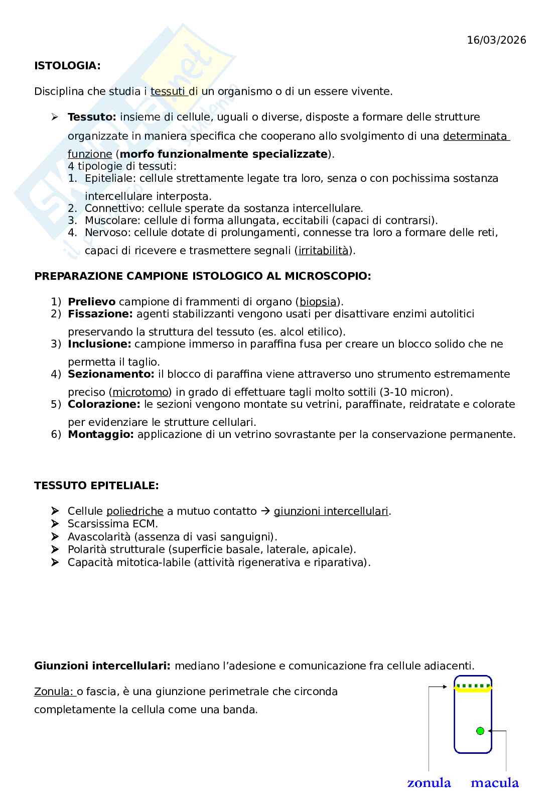 Introduzione istologia e tessuto epiteliale Pag. 1