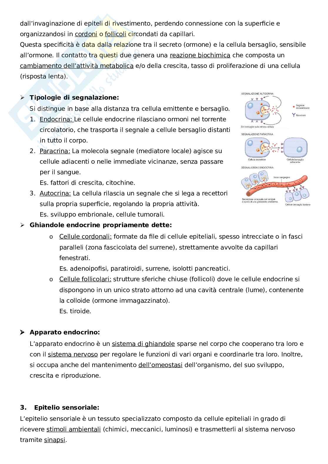 Introduzione istologia e tessuto epiteliale Pag. 11
