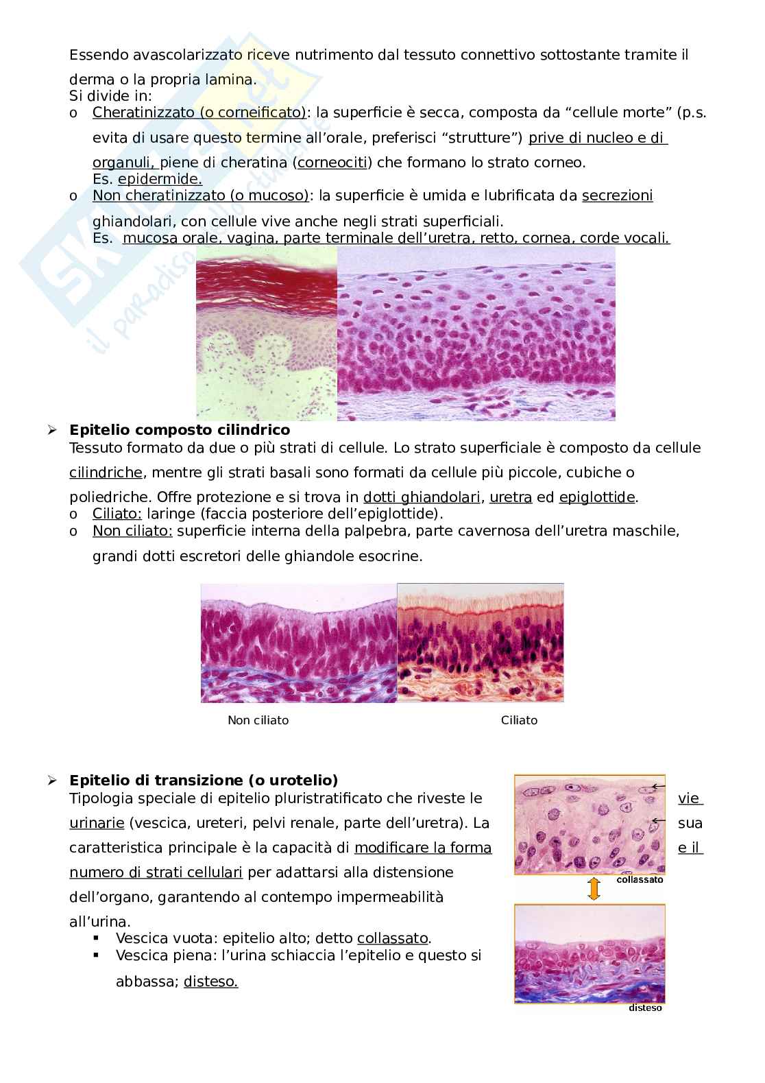Introduzione istologia e tessuto epiteliale Pag. 6