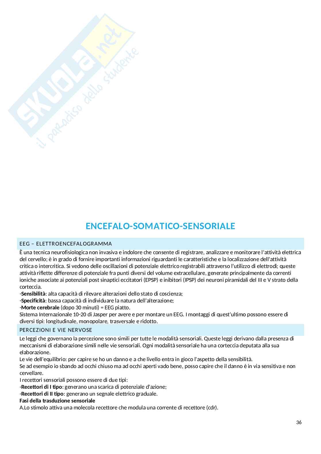 Anatomia e fisiologia - Basi morfologiche di funzionamento della vita Pag. 36